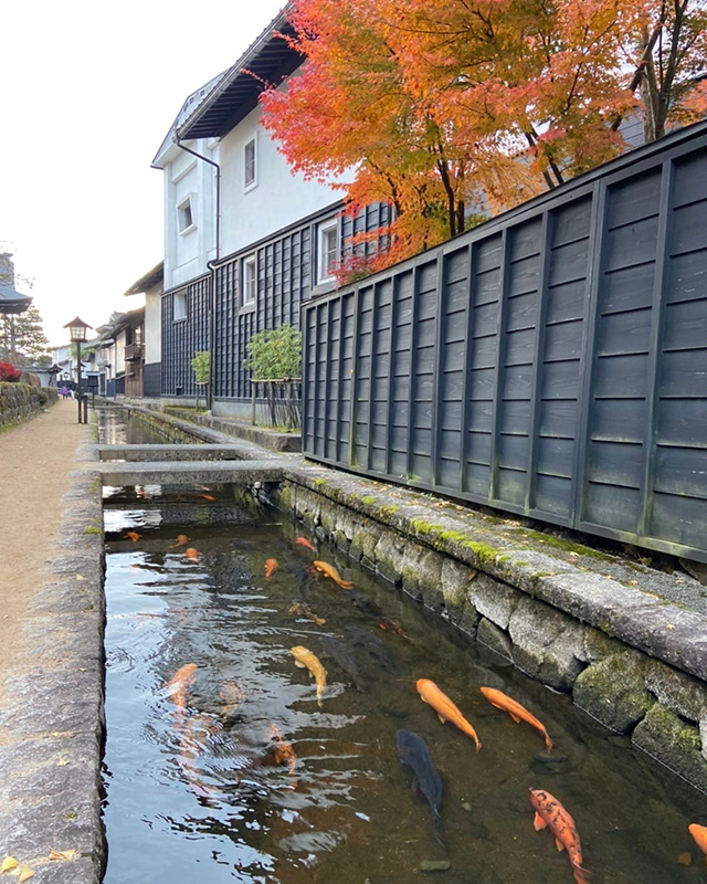 白壁黒腰壁の土蔵が続く瀬戸川沿い