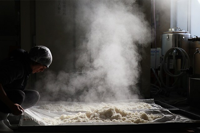 米発酵文化を未来へ