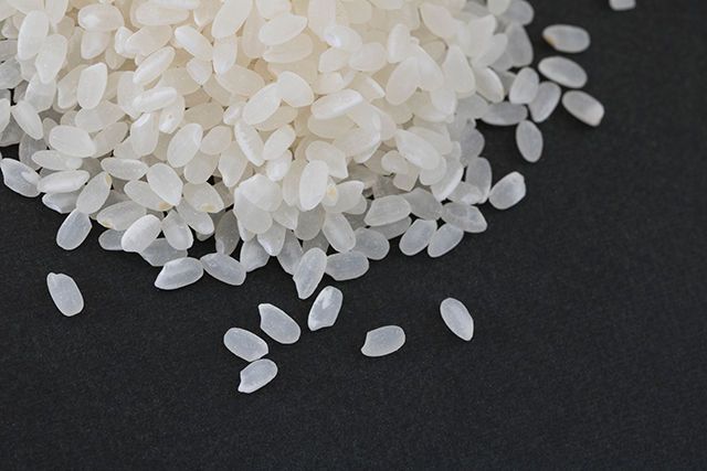 食用米と何が違うの？