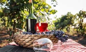 日本ワインはどんなブドウから造られている？ ～ワインの味...