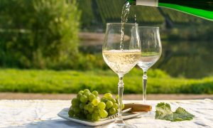 日本ワインはどんなブドウから造られている？ ～ワインの味の違いのもと、ブドウの話②～