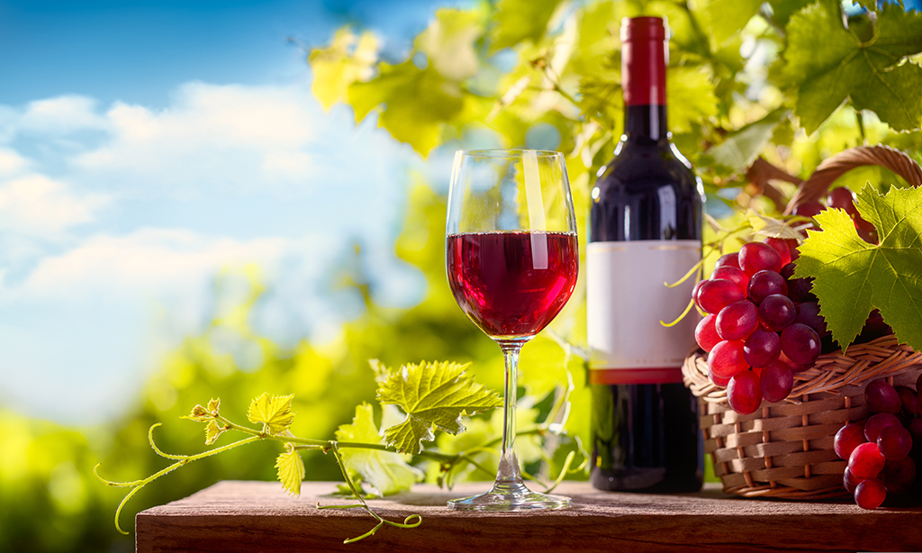 日本ワインはどんなブドウから造られている？ ～ワインの味の違いのもと、ブドウの話③～　