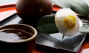花酵母が織りなす美酒3選｜心踊る華やかな日本酒を紹介！