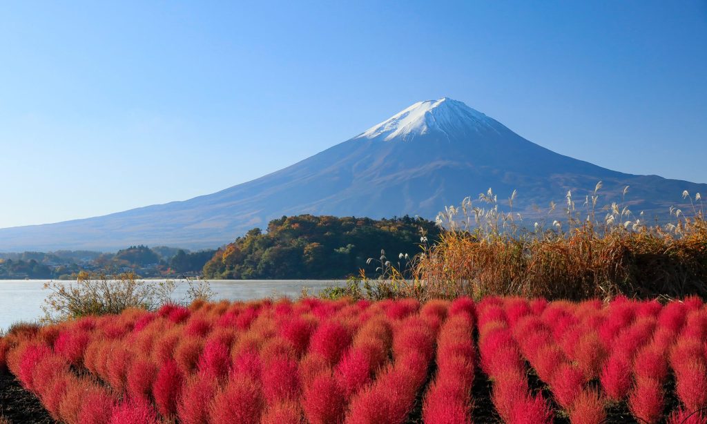 山の日に飲みたい日本酒5選｜自宅にいながら“山の恵み”を感じよう！