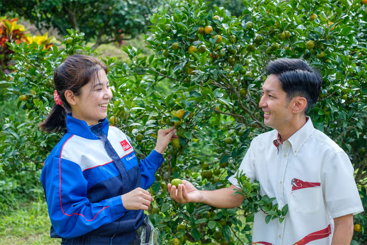 naturaに使われるシークヮ―サ―果汁を製造する有限会社勝山シークヮ―サ―の担当者と、果実生産者の農場を視察する浜比嘉さん